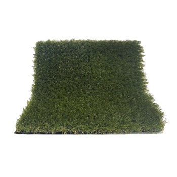 Fusion Turf Bent Grass
